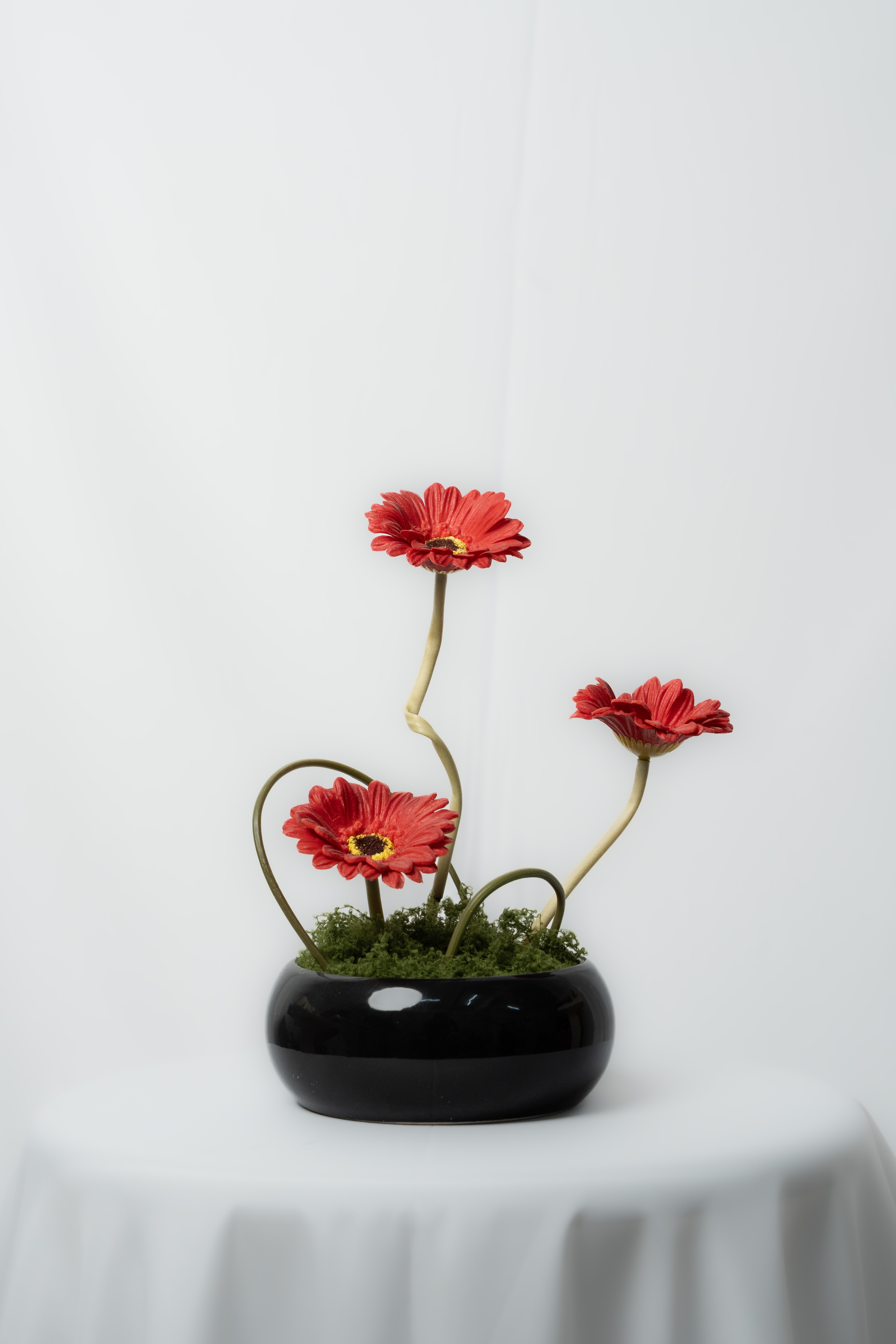 جلبيرا احمر