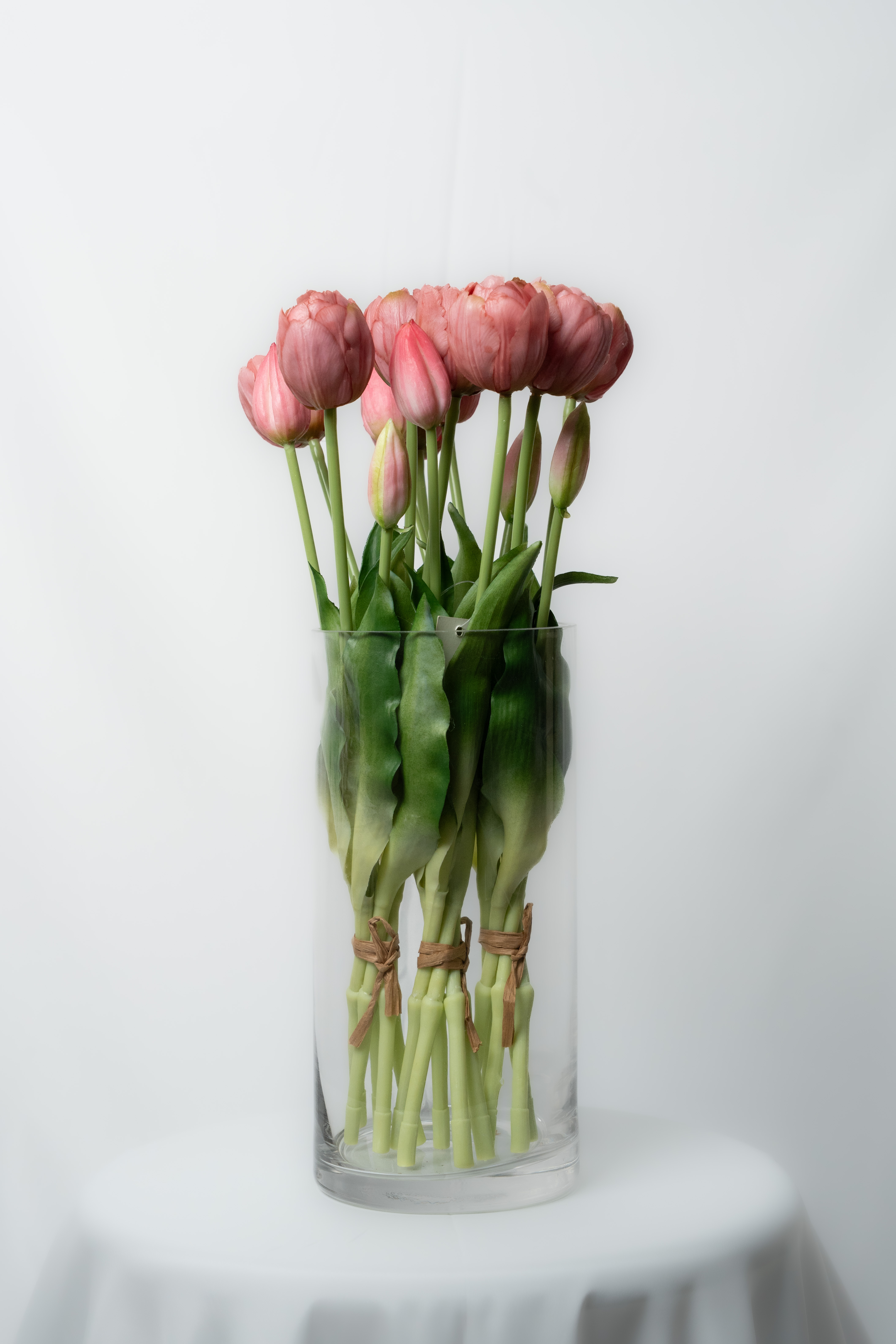 توليب بنفسجي